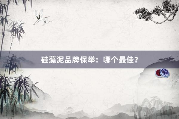 硅藻泥品牌保举：哪个最佳？