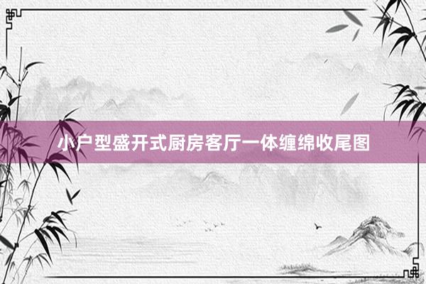 小户型盛开式厨房客厅一体缠绵收尾图