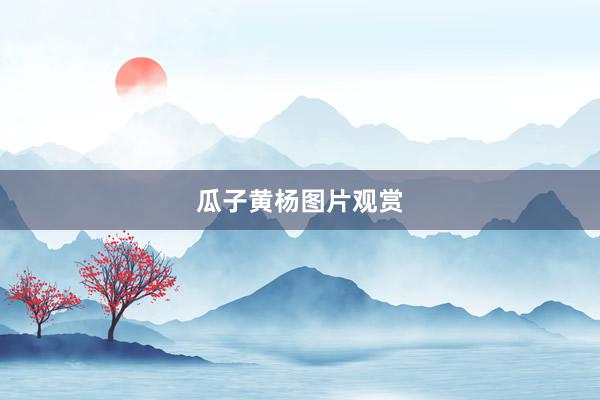 瓜子黄杨图片观赏