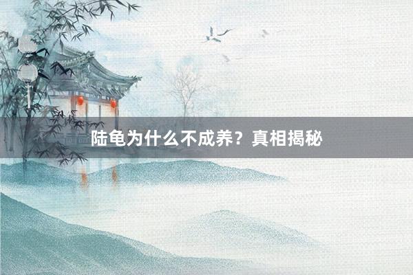 陆龟为什么不成养？真相揭秘
